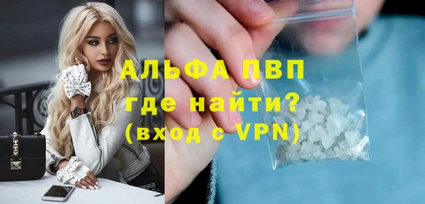крисы Алзамай