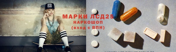 крисы Алзамай