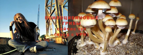 крисы Алзамай