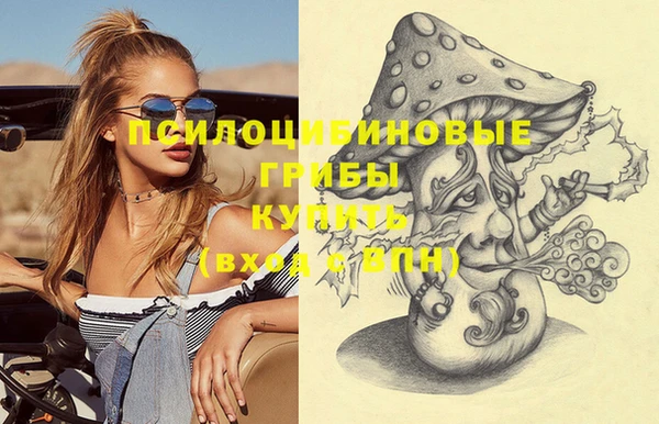 крисы Алзамай