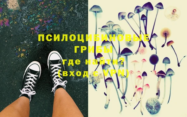 ECSTASY Осинники