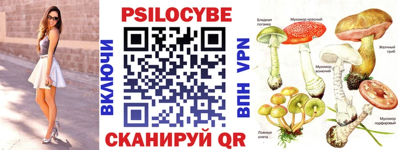 где продают наркотики  Тобольск  гидра ONION  Галлюциногенные грибы Psilocybine cubensis 